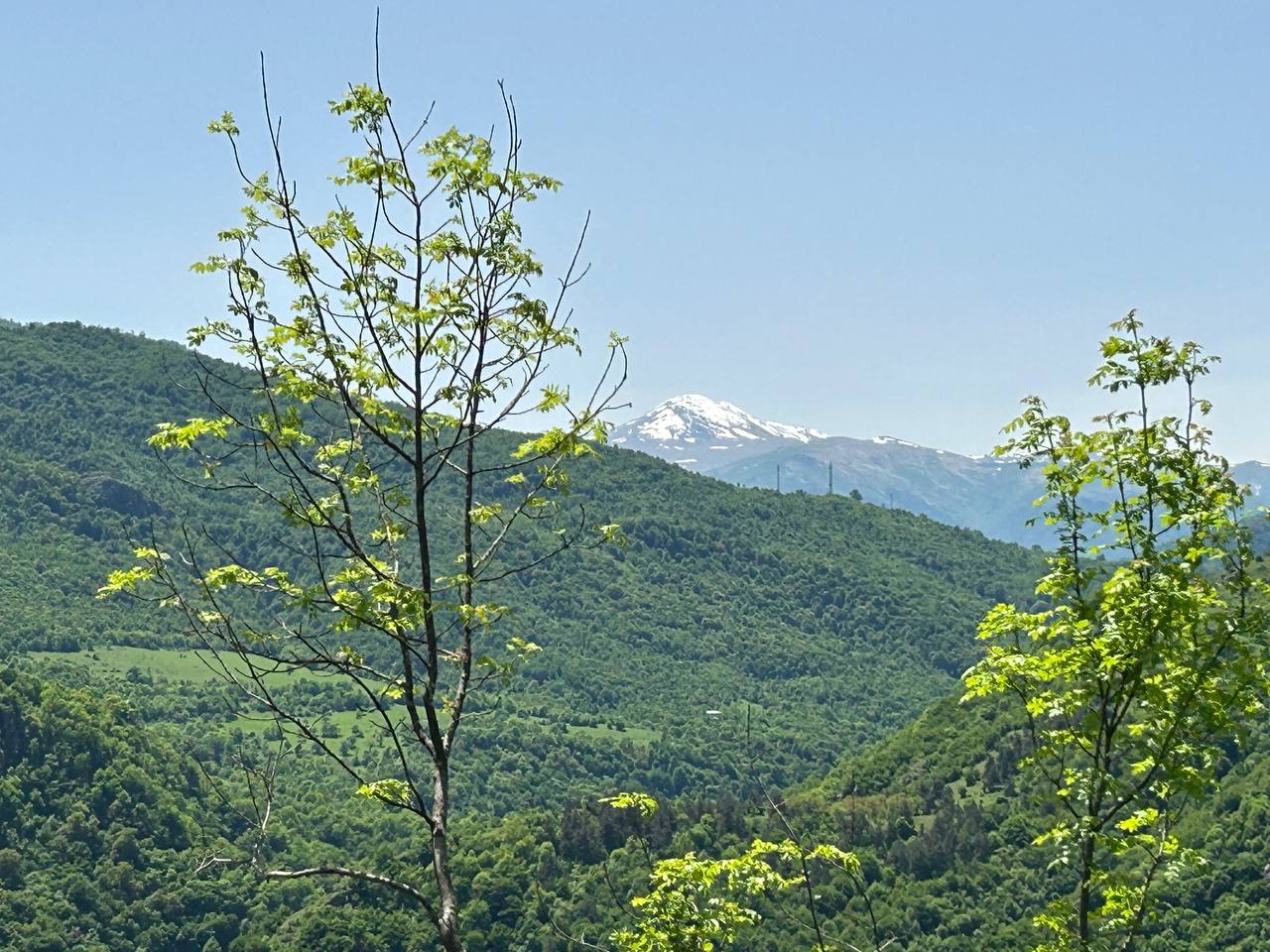 Snowy Mountains at High Glamping Park